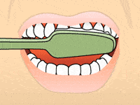 Toothbrush cleaning upper teeth with proper brushing technique illustration.