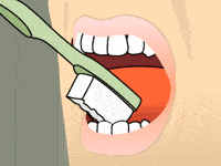 Toothbrush brushing the outer surfaces of upper front teeth during proper dental hygiene.